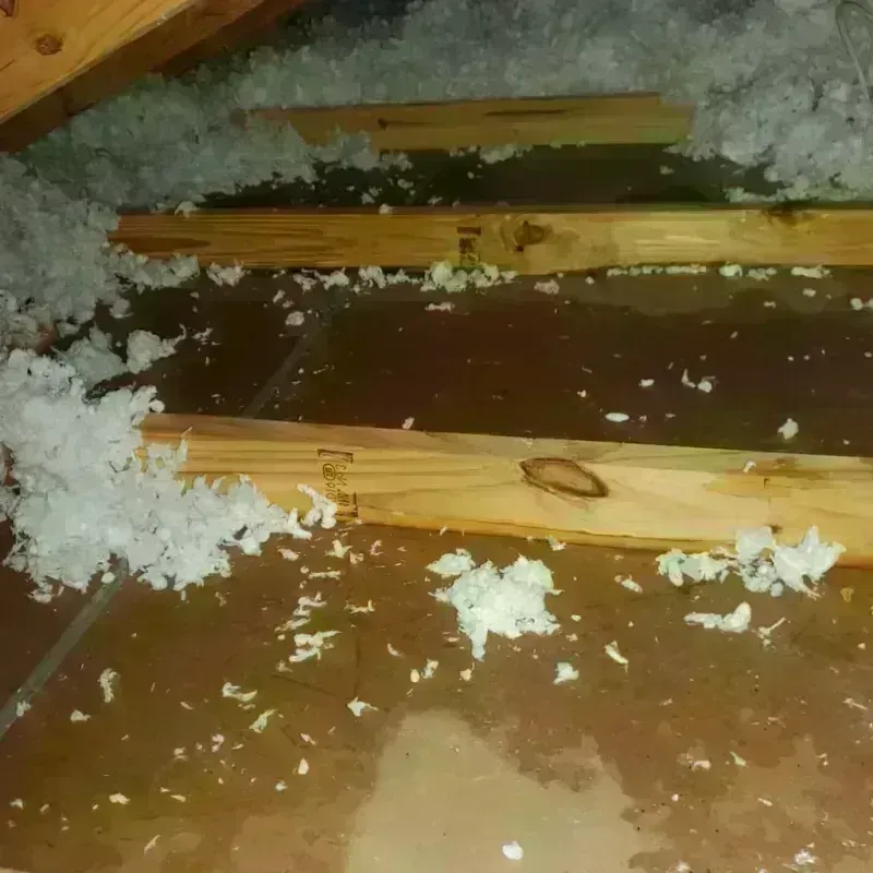 Attic Water Damage in Gilbertsville, PA